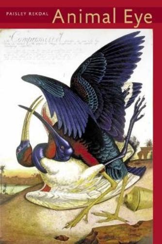Paisley Rekdal Animal Eye (Tascabile) Pitt Poetry Series