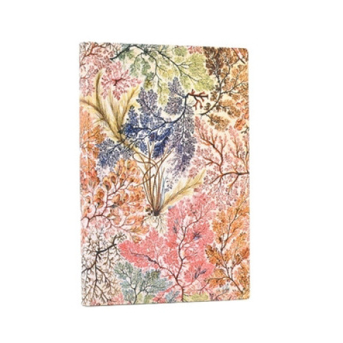 Anemone (William Kilburn) Mini Unlined Softcover Flexi Journal (Elastic Band