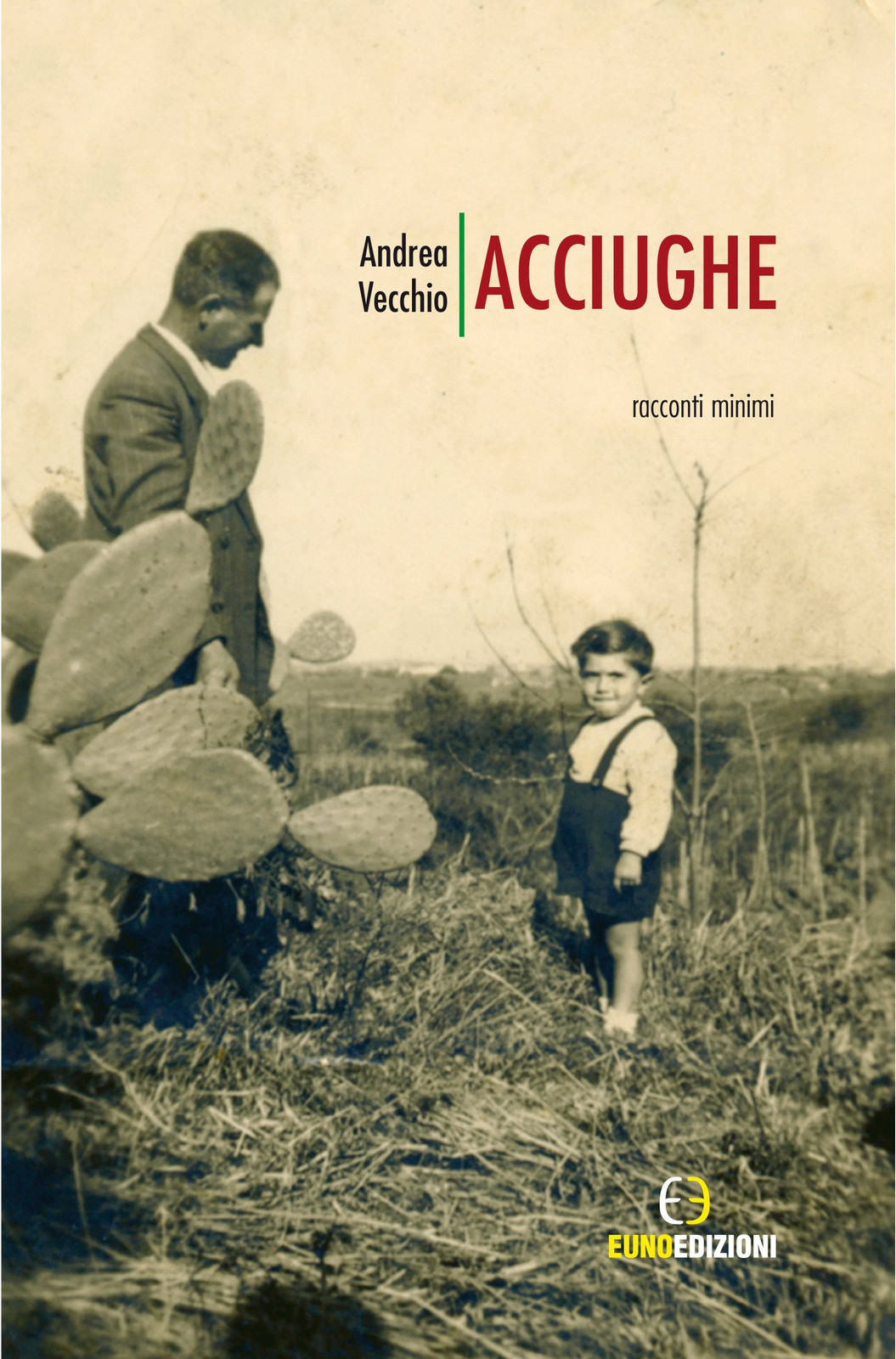 9788897085454 Acciughe. Racconti minimi - Andrea Vecchio