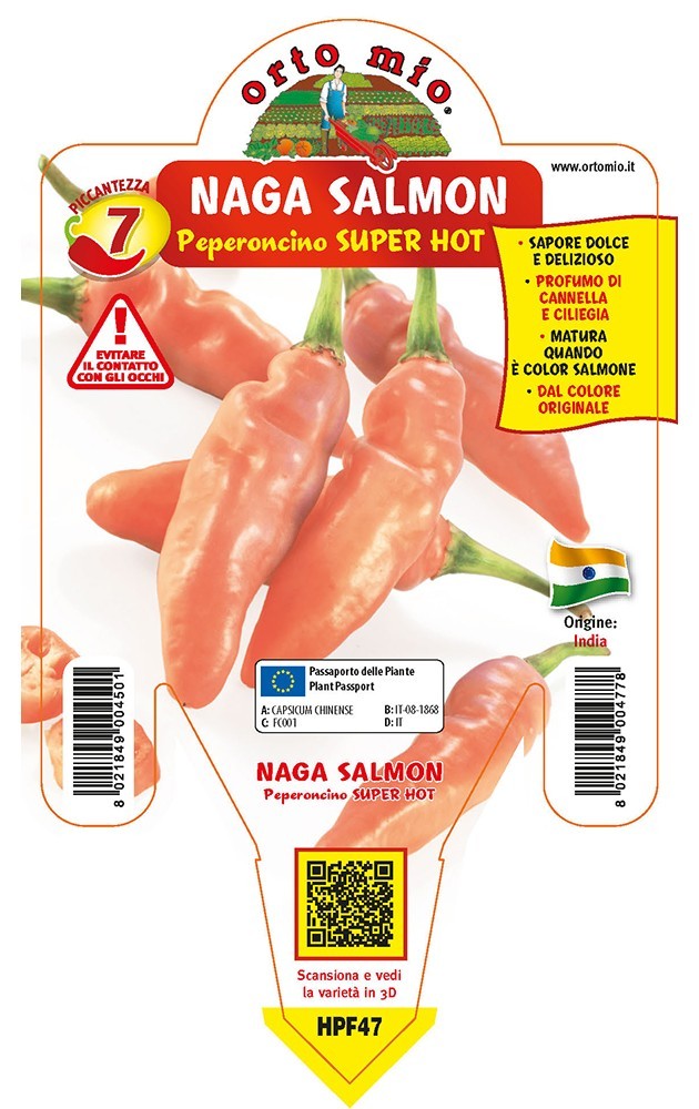 ORTO MIO 7 Peperoncino Naga Morich Salmone