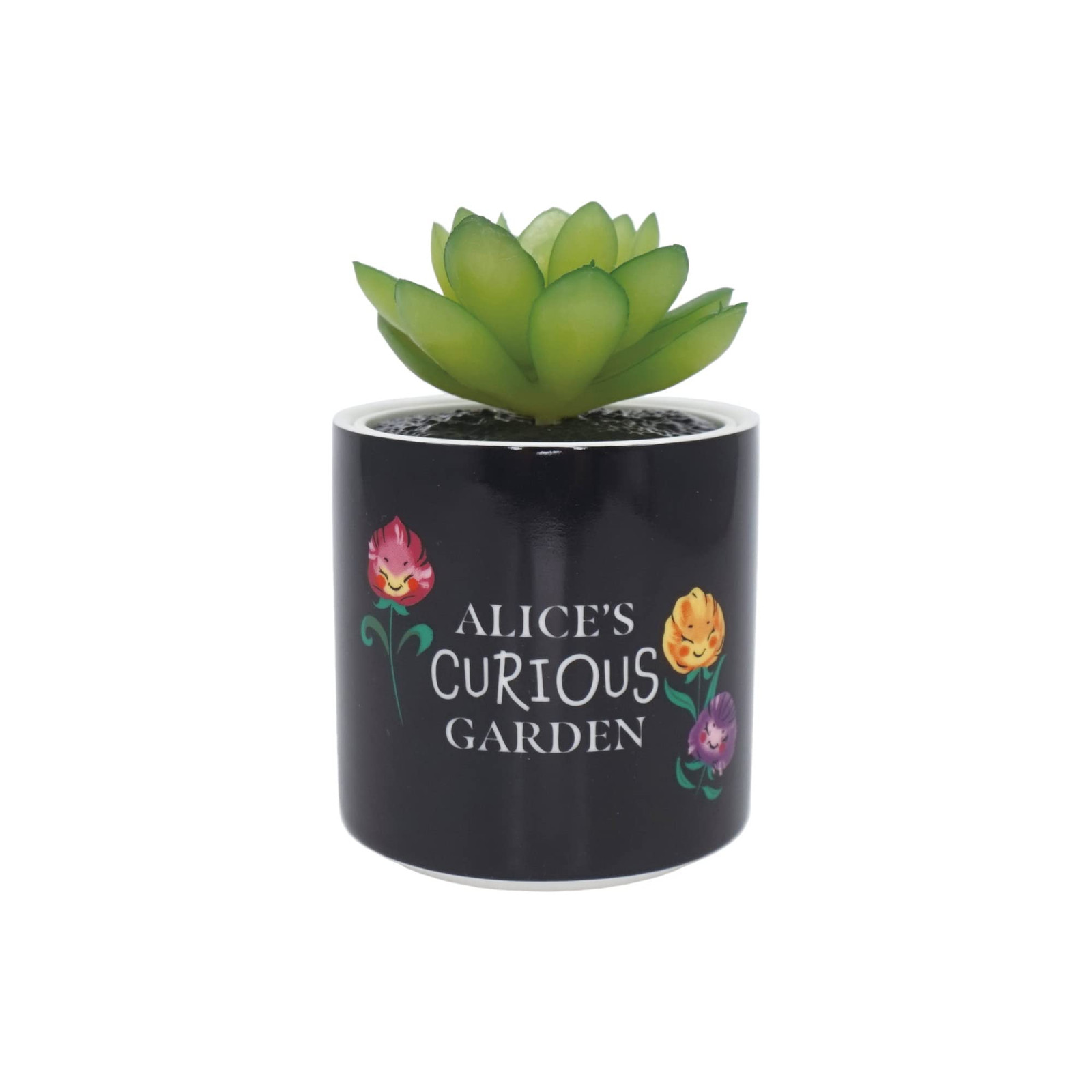 ALICE IN WONDERLAND - Faux Plant Pot 6.5cm ACC NUOVO