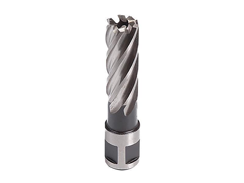 Cutter A Brocciare Lungo Evolution 21Mm EVLHT21L