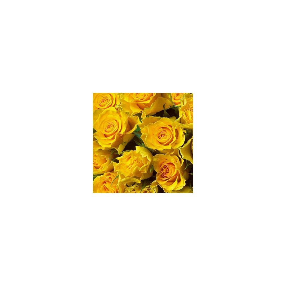 Cialda In Ostia Fiori Rose Donna Torta Decorazioni Feste Dischi Commestibile Fes