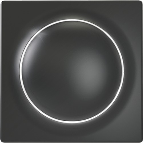 Interruttore Semplice Z-Wave Walli Switch Antracite Di Fibaro