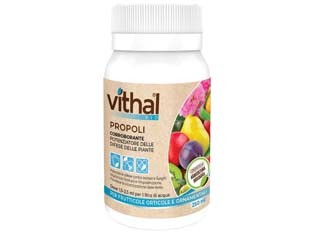 PROPOLI VITHAL BIO  ml.250    VITHAL