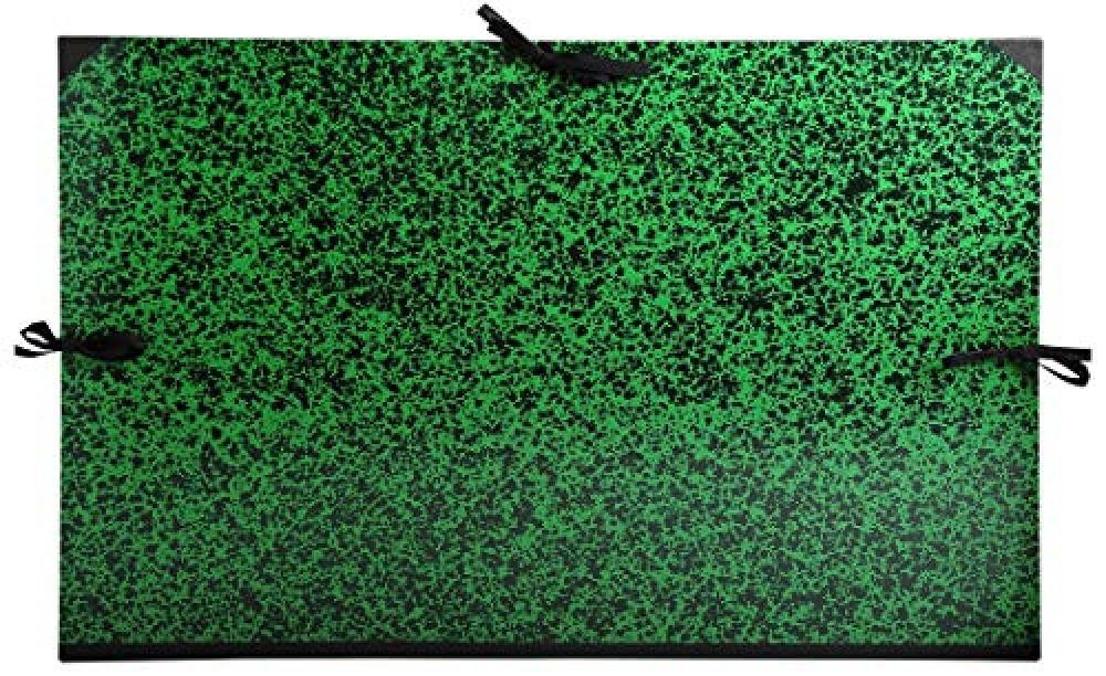 (TG. 80x120) Exacompta 533600E Cartelle Porta Disegni e Valigette, 80x120 cm, Ve