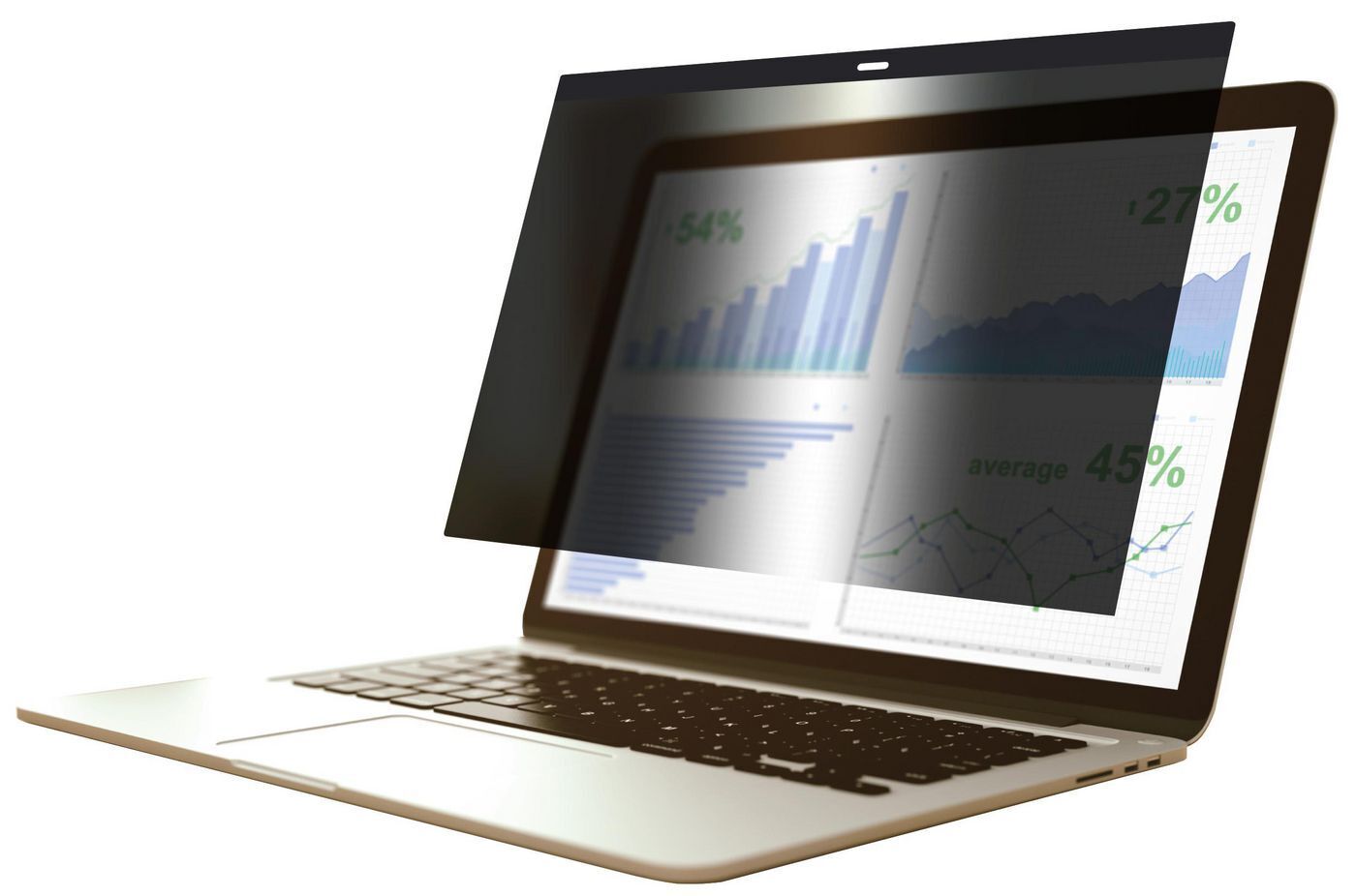 Magnetic Privacy Filter 13.6"