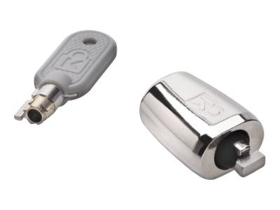 Kensington K64430EUS Kensington Chiave Argento MicroSaver 2.0 Keyed Chassis Lock