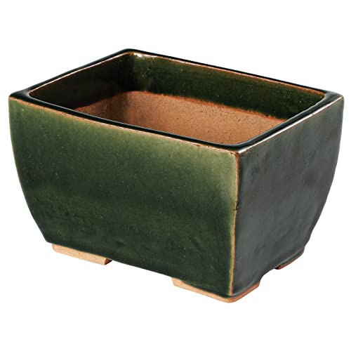 Wazakura Vaso Tokoname per Bonsai 13.5 cm Piccolo Rettangolare Smaltato (M0j)