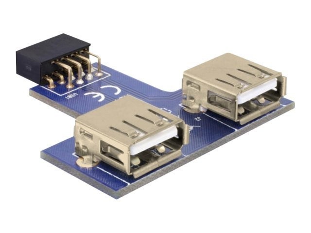 Delock 9-pin 2.54 mm/2 x USB 2.0 1 x 9-pin 2.54 mm 2 x USB 2.0-A Nero 41824