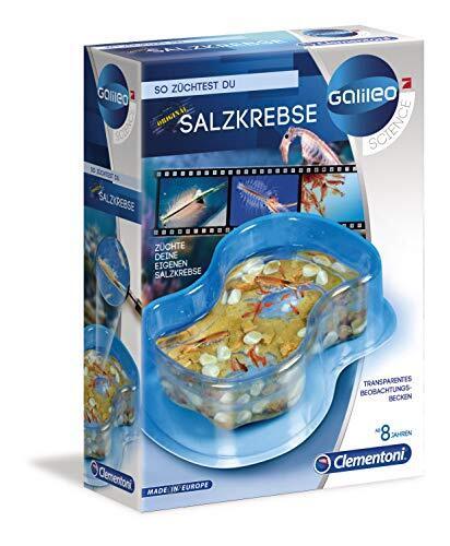 Clementoni Galileo - Modo da Coltivare granchi di Sale [Versione Tedesca] (c1d)