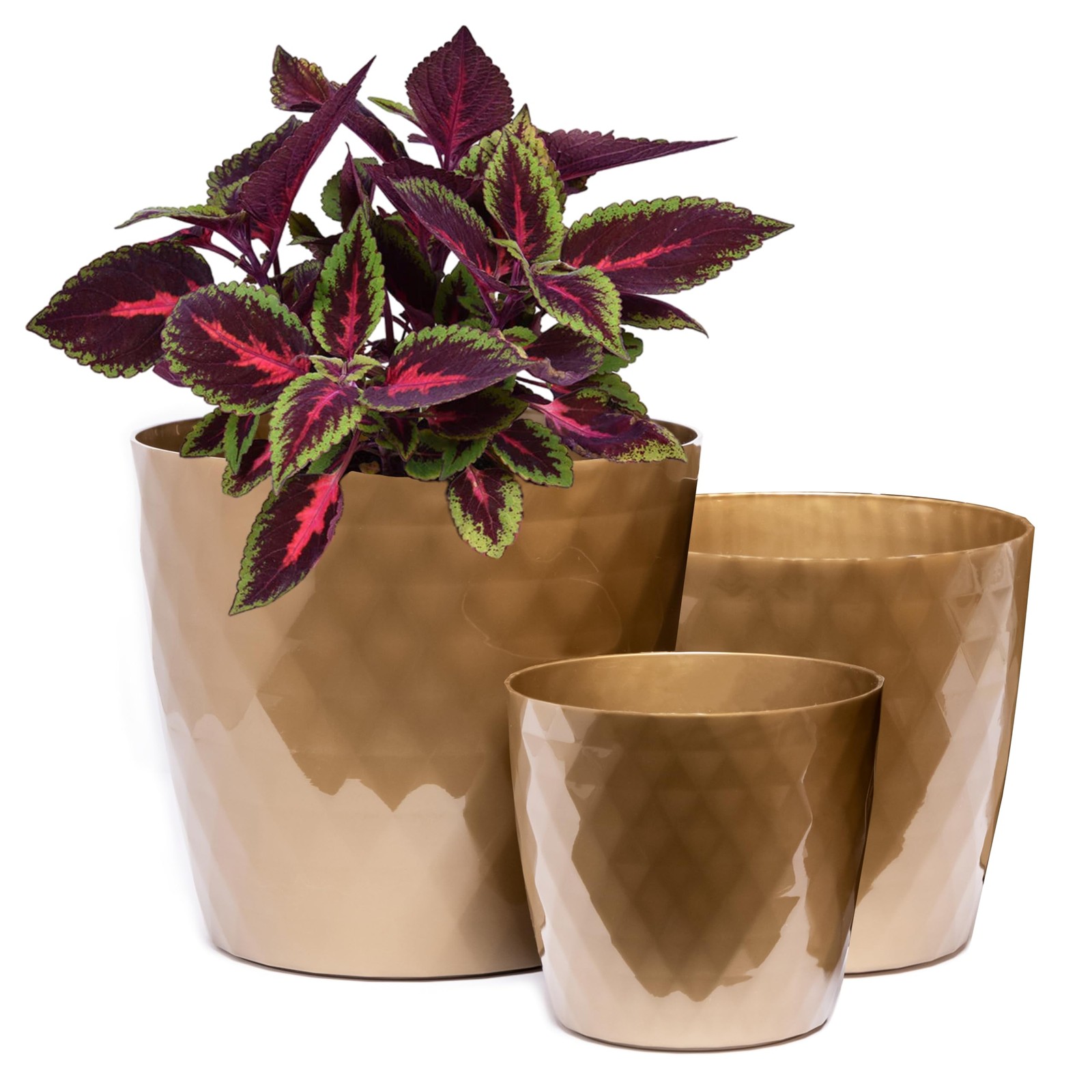 Home Garden Ornaments Vaso per Piante da Interno Dorato Set di 3 Misure (I0N)