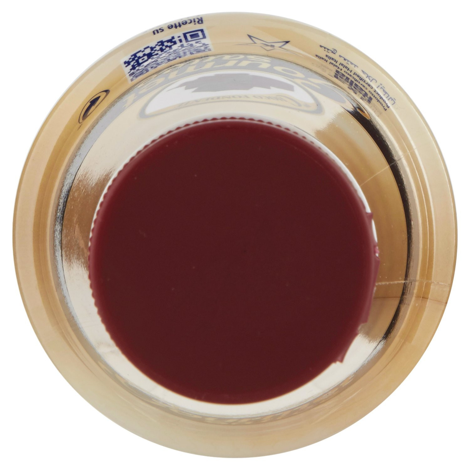 Fabbri Top Gold Gourmet sauce gusto Choco Fondente 800 g