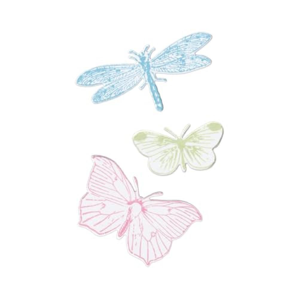 (TG. Taglia unica) Sizzix Framelits Dies & Stamps – Ali incise di 49 and Marke
