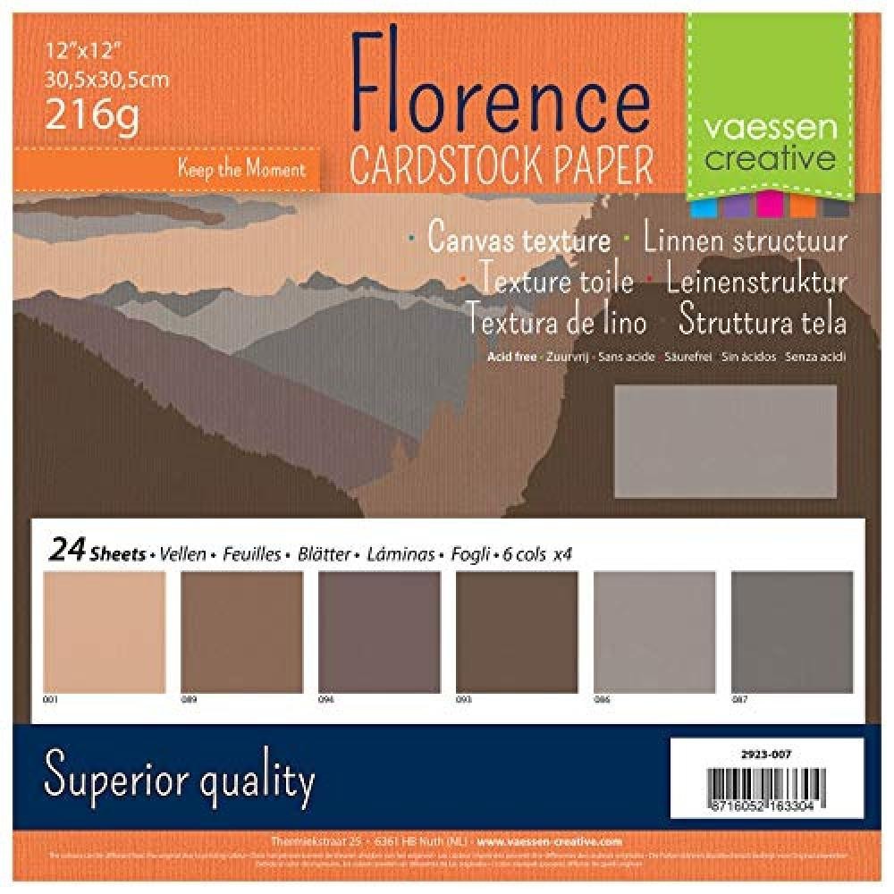 (TG. 30.5x30.5x0.7 cm) Vaessen Creative-Cartoncino Decorativo per Scrapbooking,