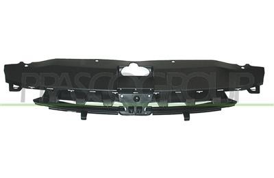Griglia Radiatore Per PEUGEOT 307 Dal 2001 Al 2005 PG4202001 7804K6