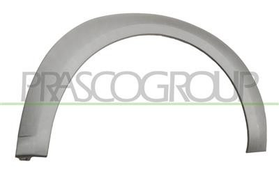 Parafanghino Posteriore Sinistro Per FORD TRANSIT/TOURNEO - CONNECT 2006-2009 SX