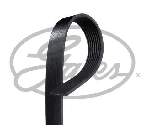 Cinghia trapezoidale multirighe K080702 GATES per BMW 5 Touring 5 X3