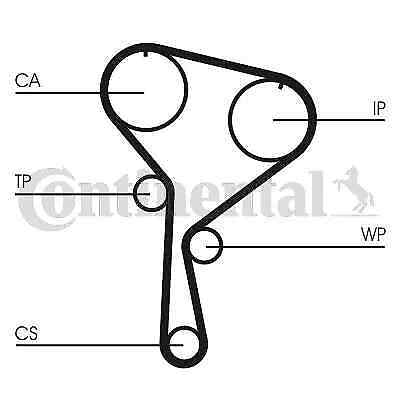 Kit distribuzione + pompa acqua CT1035WP4 CONTINENTAL CTAM per RENAULT DACIA