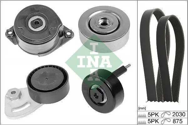Kit cinghia trapezoidale multirighe 529 0253 10 INA per LAND ROVER MG ROVER