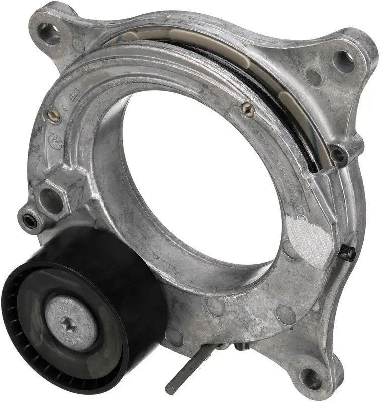 Tendicinghia multirighe T39381 GATES per BMW ALPINA MINI MORGAN
