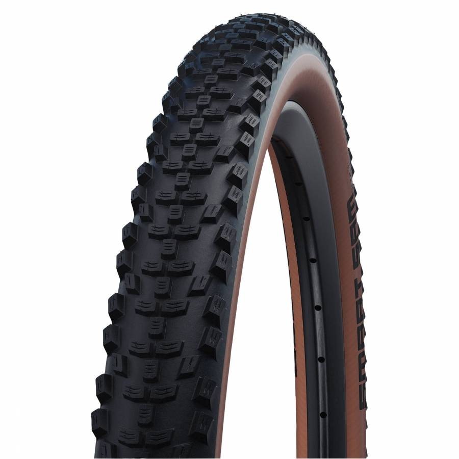 Pneumatico MTB 29 x 2.25 Schwalbe Smart Sam Addix Performance nero con fianco br
