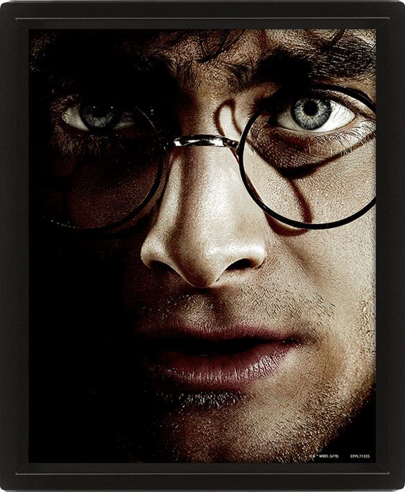 PYRAMID HARRY POTTER (HARRY VS VOLDEMORT) - POSTER 3D LENTICULAR INCORNICIATO