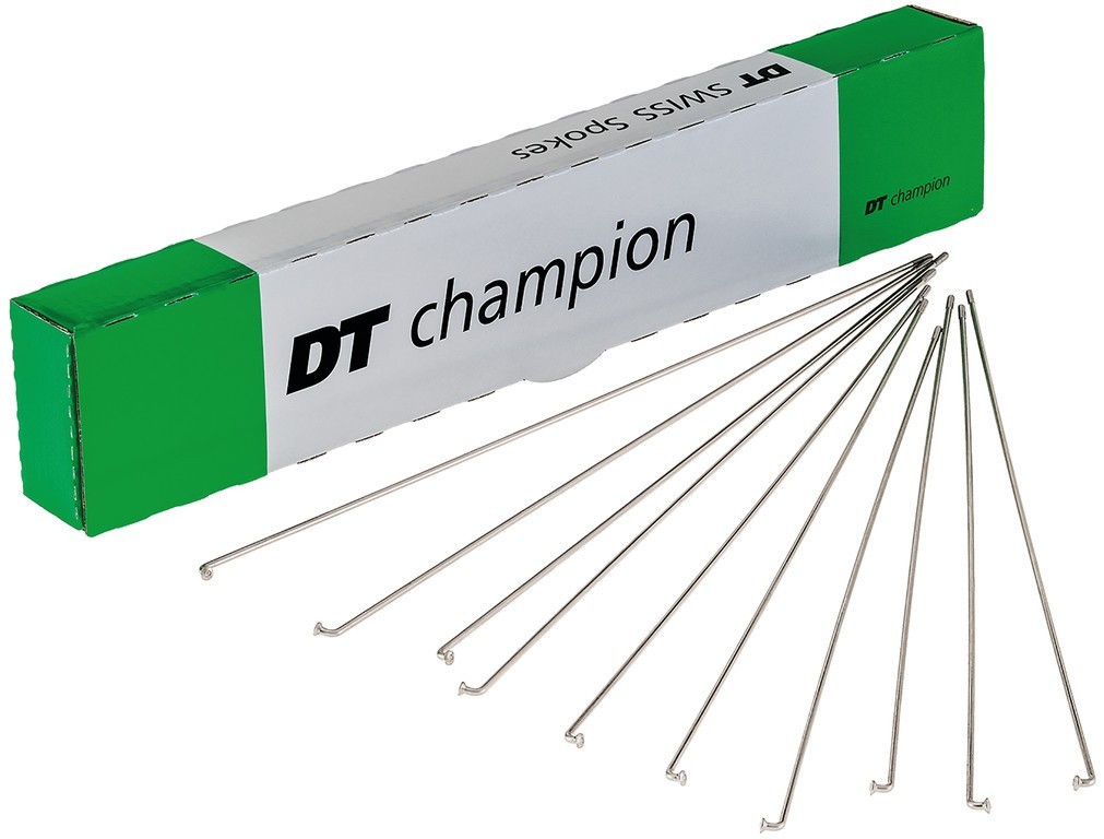 DT Swiss Raggi in acciaio inox DT Champion 262mm J-band