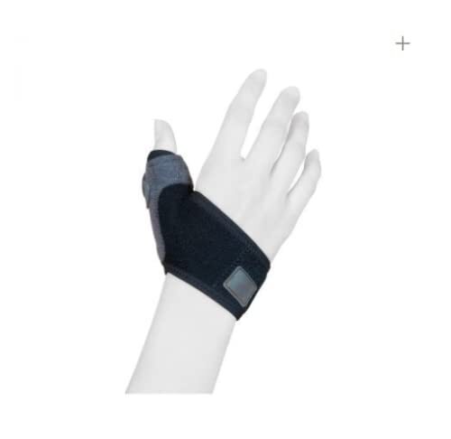 NOTON ACTIUS FERULA POLLICA D T1 (K1R)