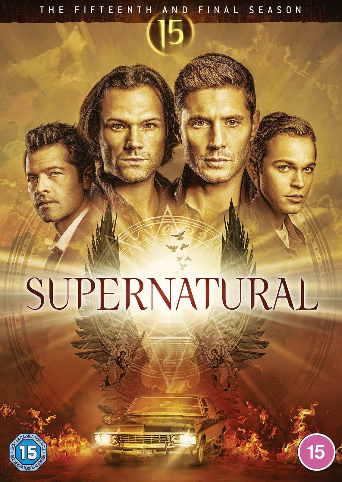 Supernatural: Season 15 (DVD)