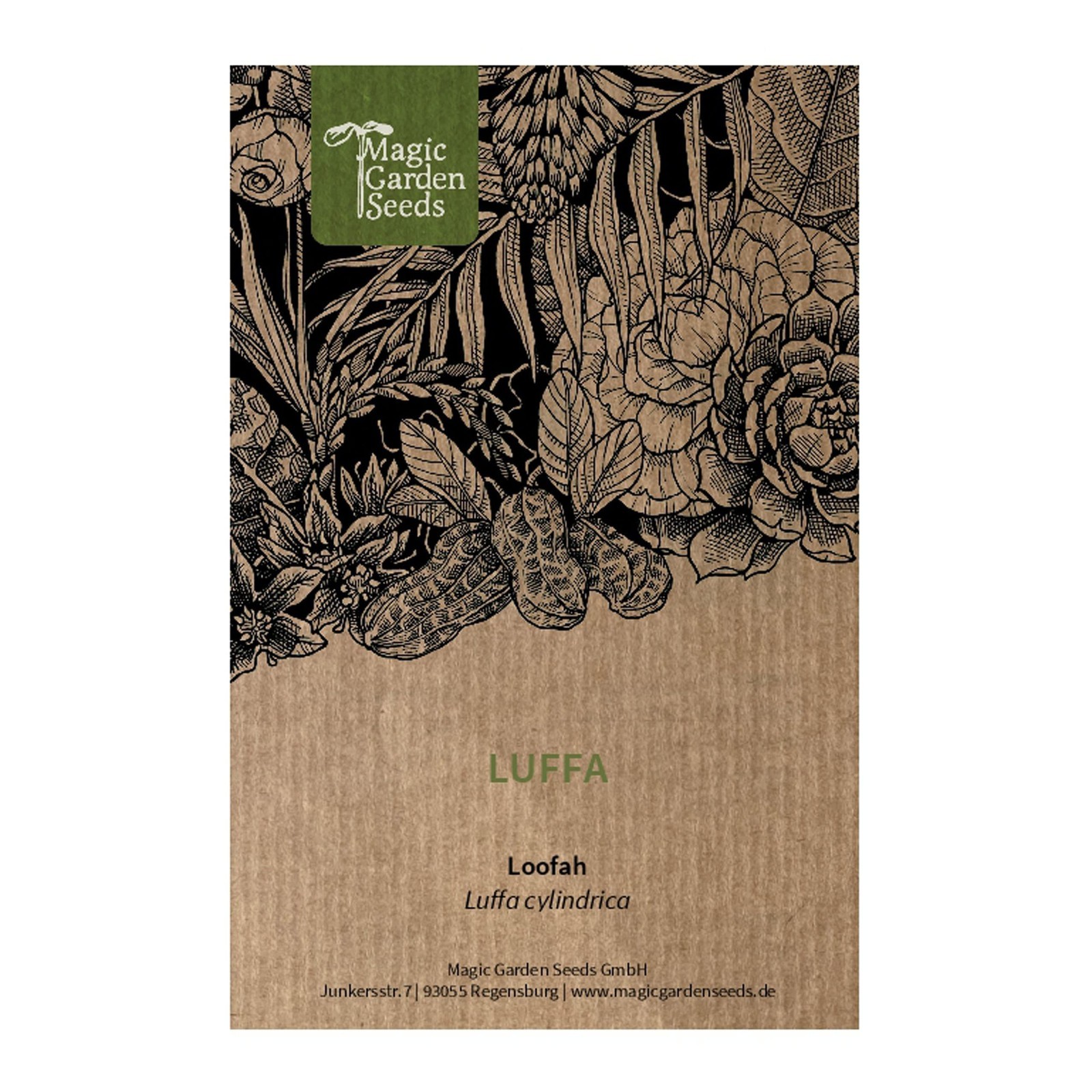 Luffa (Luffa cylindrica) - circa 5 semi (o5O)