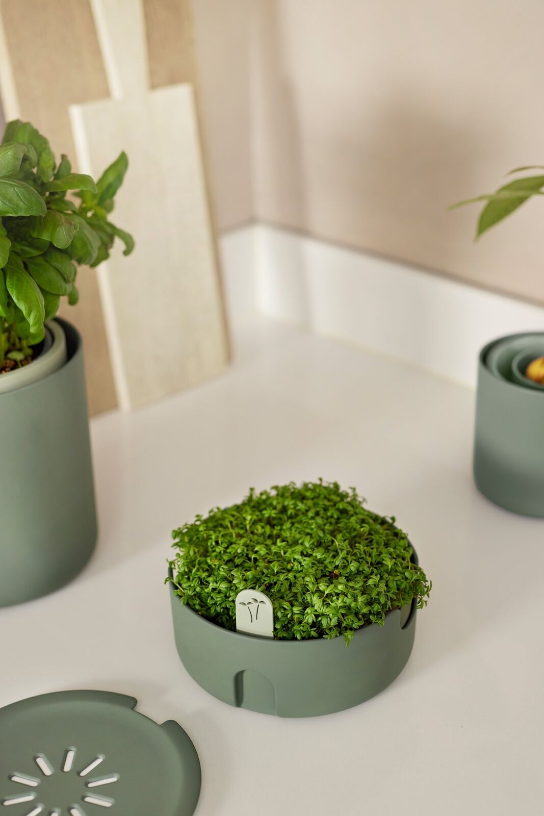 magic microgreens leaf green elho