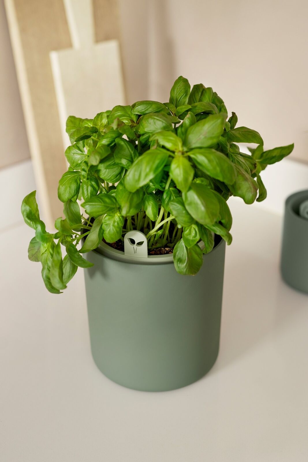 bouncy basil leaf green elho