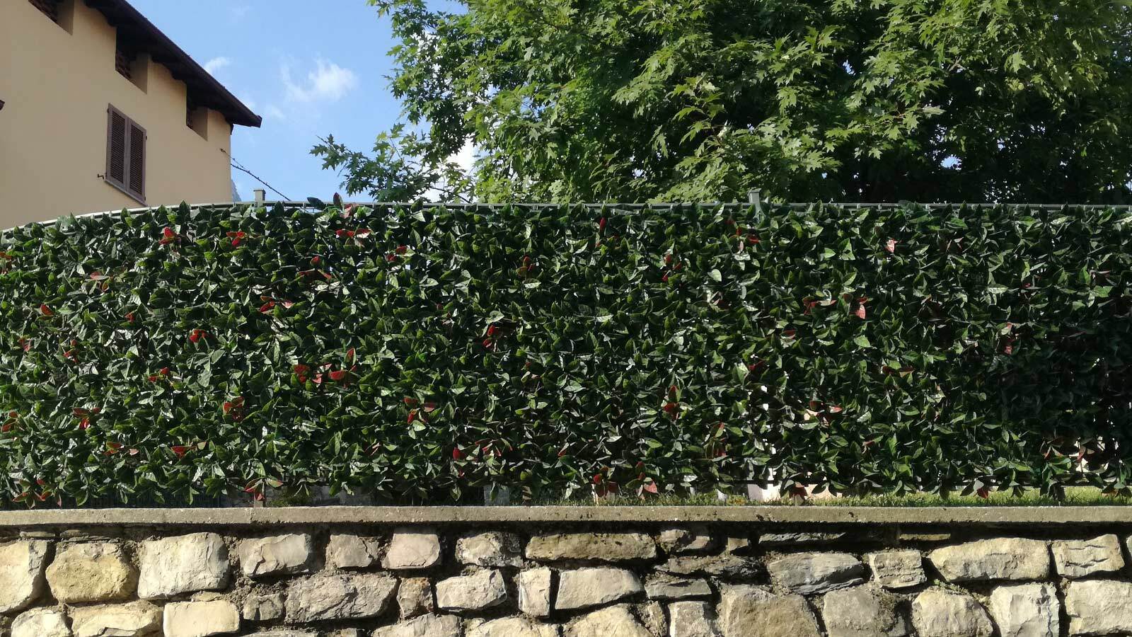 SIEPE ARTIFICIALE DIVY 30 PLUS PHOTINIA 1X3 M TENAX DECORO CASA GIARDINO