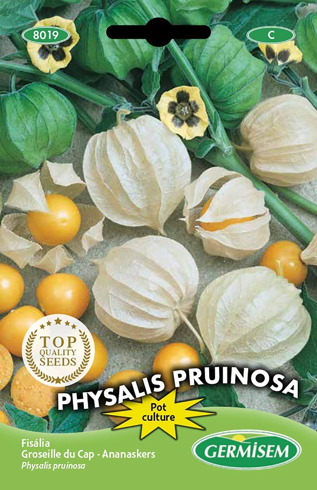 Germisem Physalis Pruinosa Semi di Edulis 0.4 g (a1p)