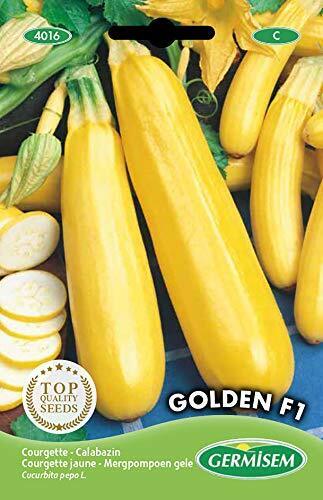 Germisem Golden F1 Semi di Zucchine Giallo 2 g (P8T)