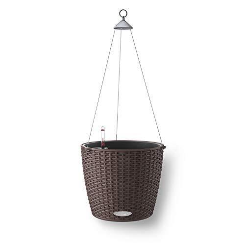 Lechuza Vaso in Resina per Piante Nido Cottage Set Completo - Caffe'