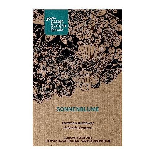 Girasole (Helianthus annuus) - circa 20 semi (R6i)