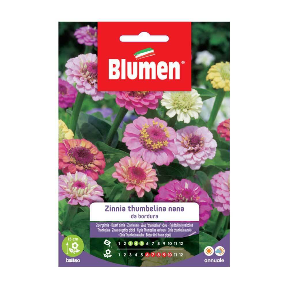 SEMI ZINNIA THUMBELINA NANA DA BORDURA IN MISCUGLIO BLUMEN