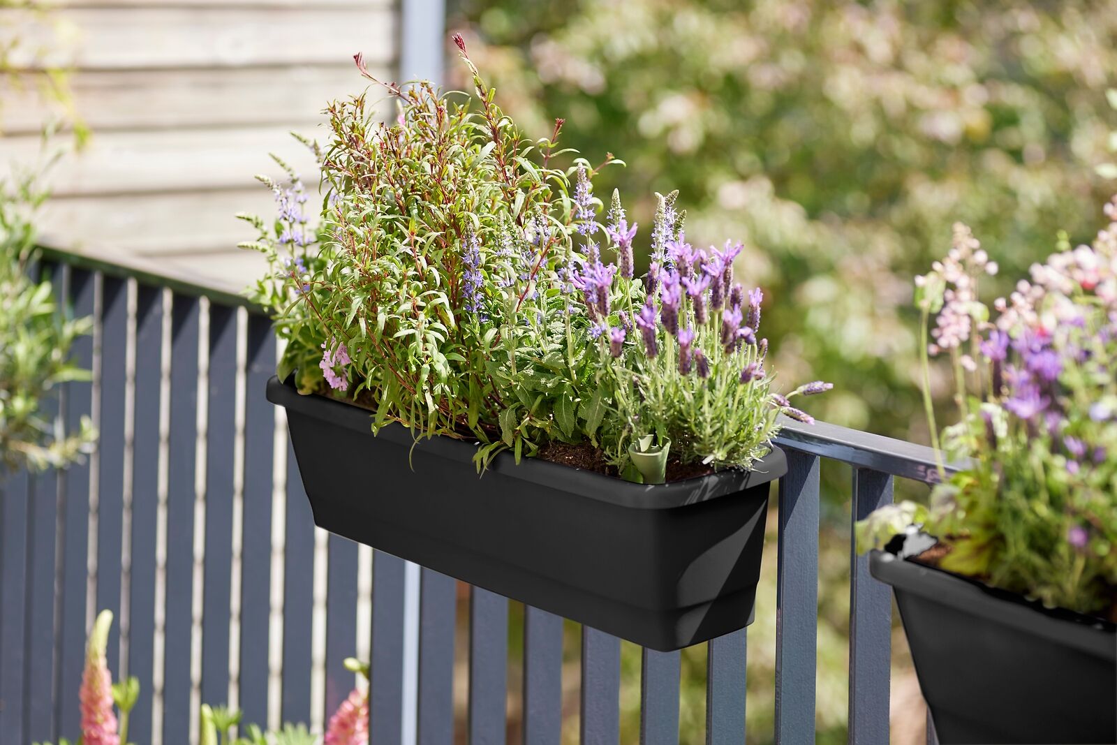 Fioriera Noa Balcony Trough L Living Black elho