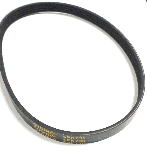 Ricambi Per Motocoltivatore (55124) Papillon - Cinghia P28