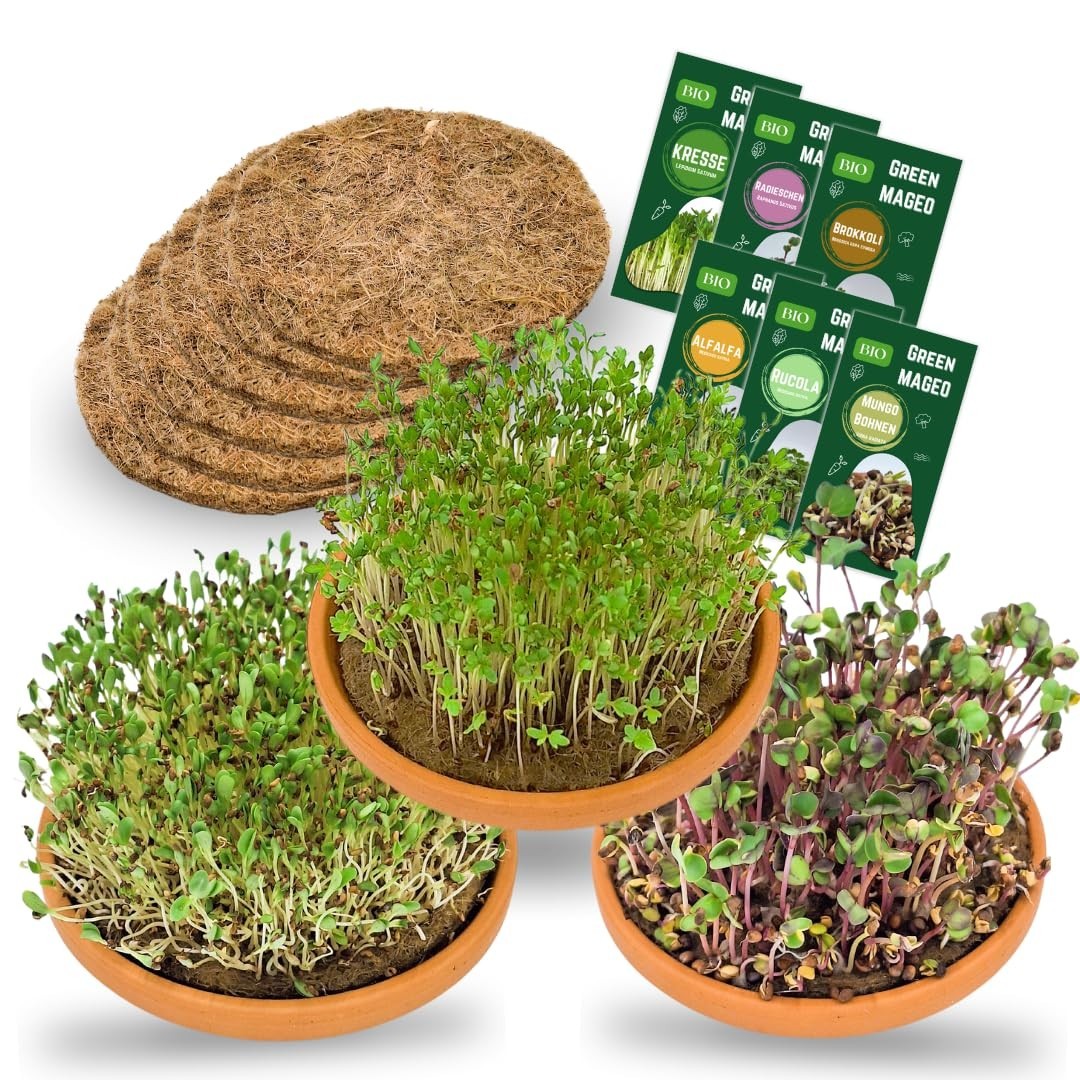 Green MaGeo Microgreens Starter Set – 3 ciotole da 11 cm Microgreens (I4L)