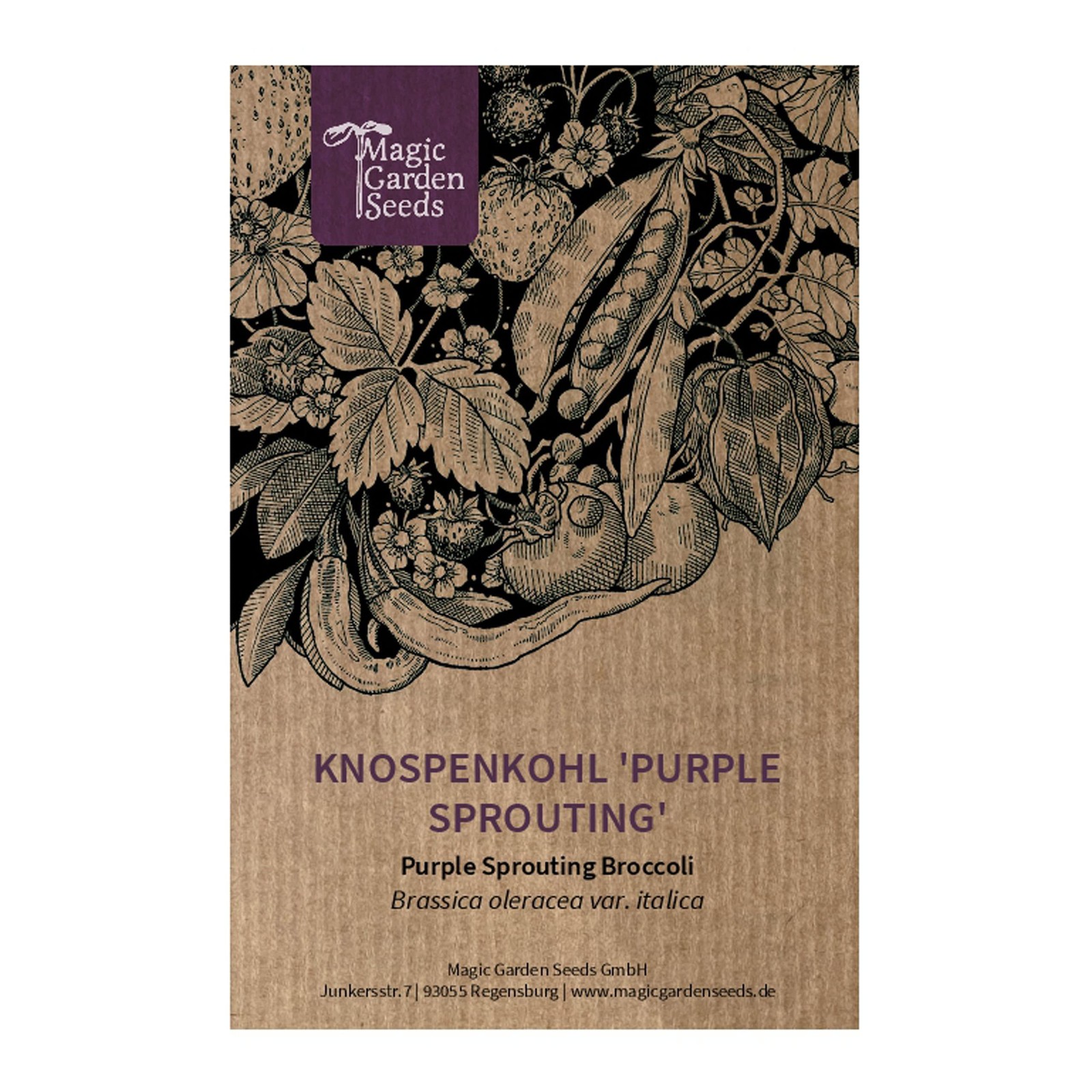 Broccolo 'Purple Sprouting' (Brassica oleracea) - circa 50 semi (S5G)