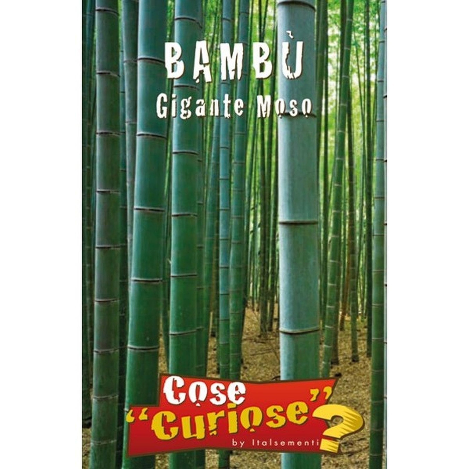 BAMBU' Gigante Moso (Phyllostachys edulis) - SEMI (j4L)