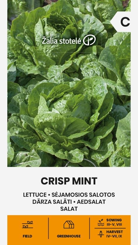 Zalia stotele | Lattuga - Semi CRISP MINT | Semi di ortaggi | Semi di (b6e)