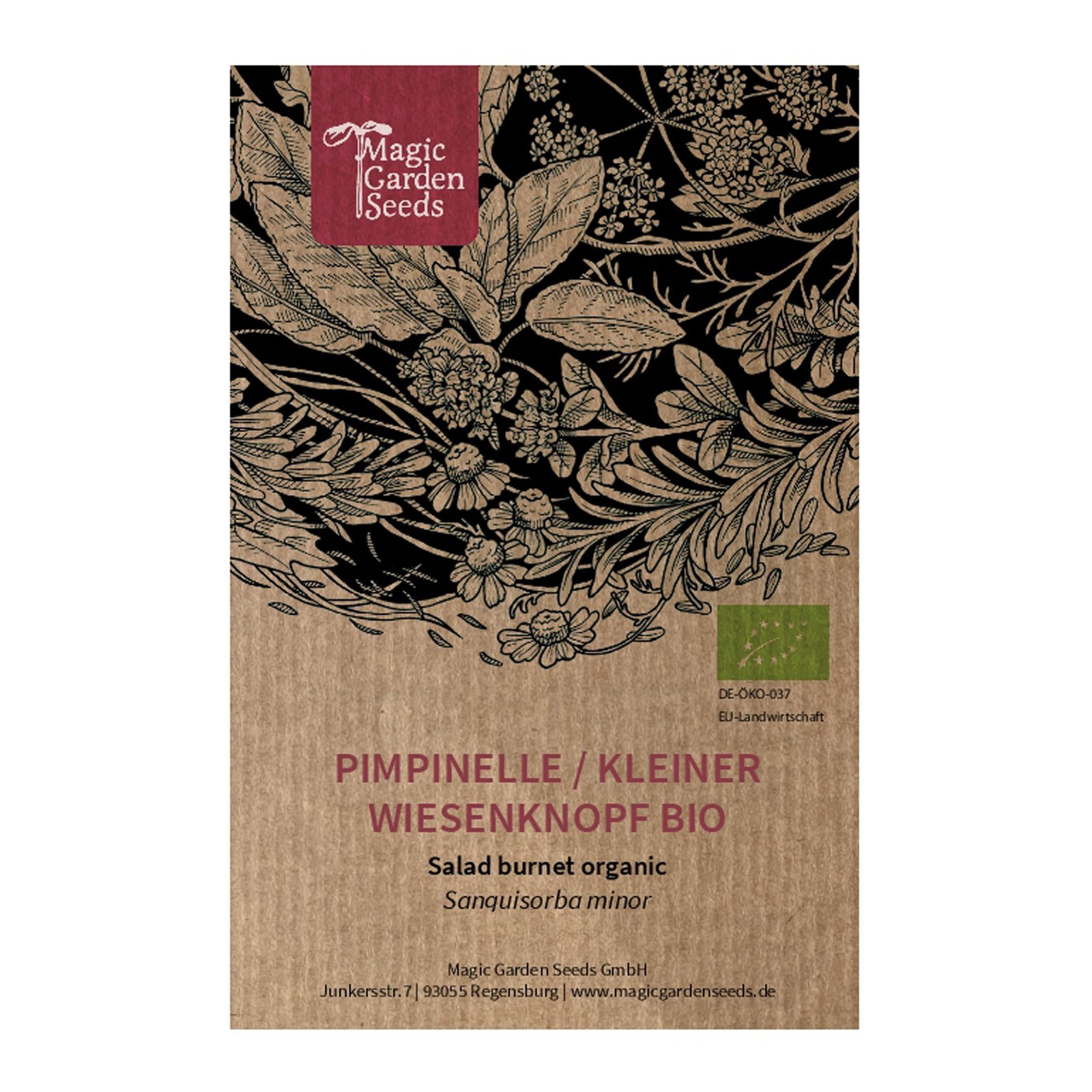Pimpinella minore (Sanguisorba minor) biologica - circa 40 semi (h8K)