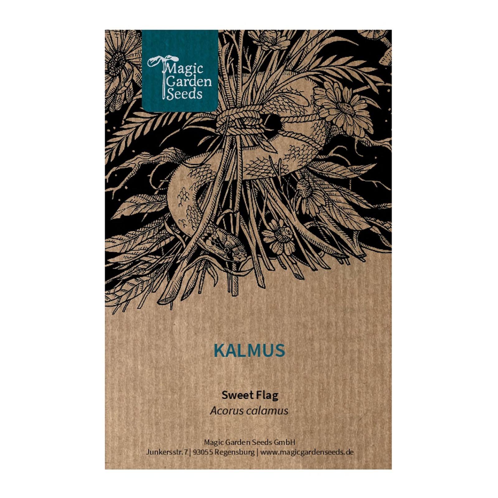 Calamo aromatico (Acorus calamus) - circa 20 semi (k9v)