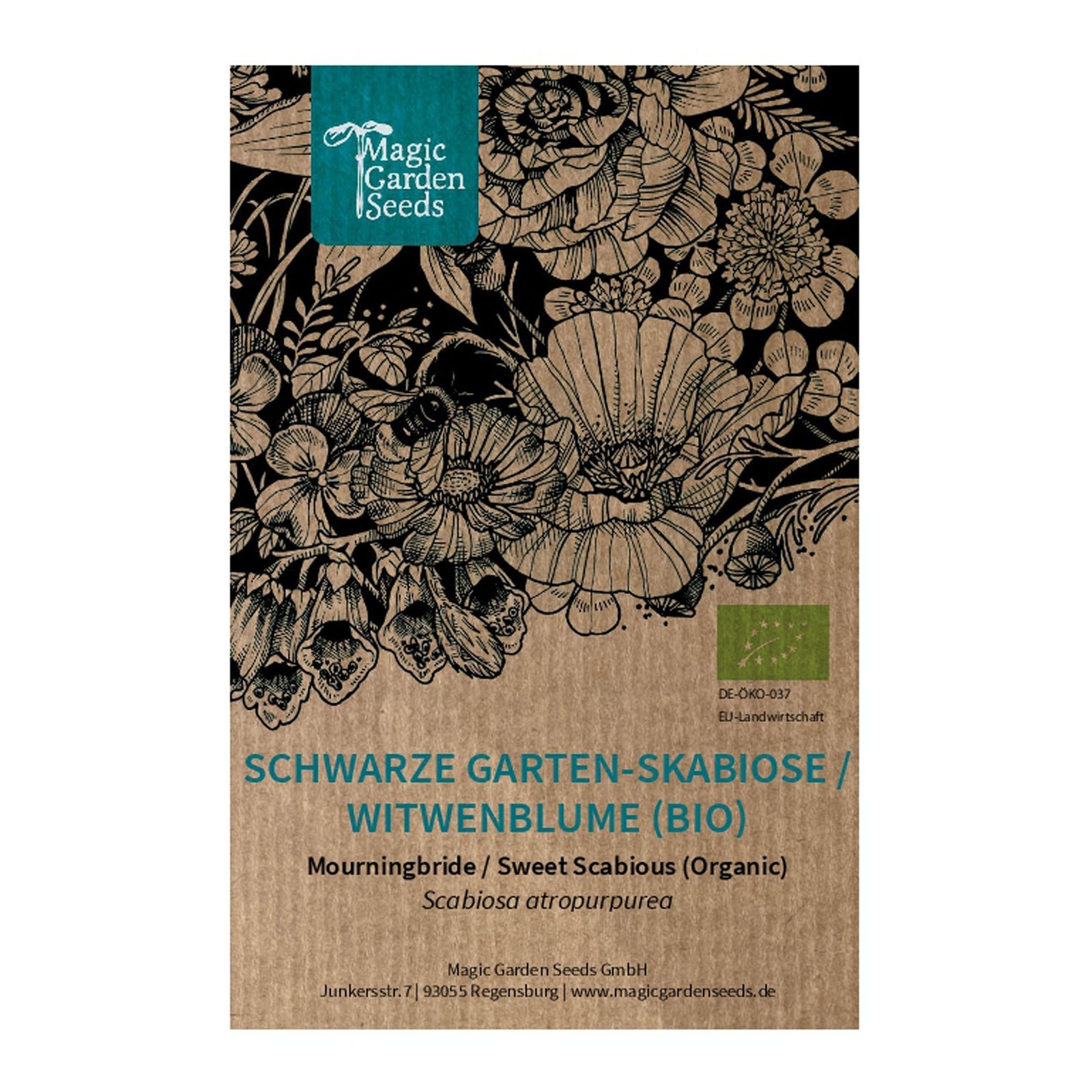 Vedovella selvatica (Scabiosa atropurpurea) biologica - circa 50 semi (Q9R)