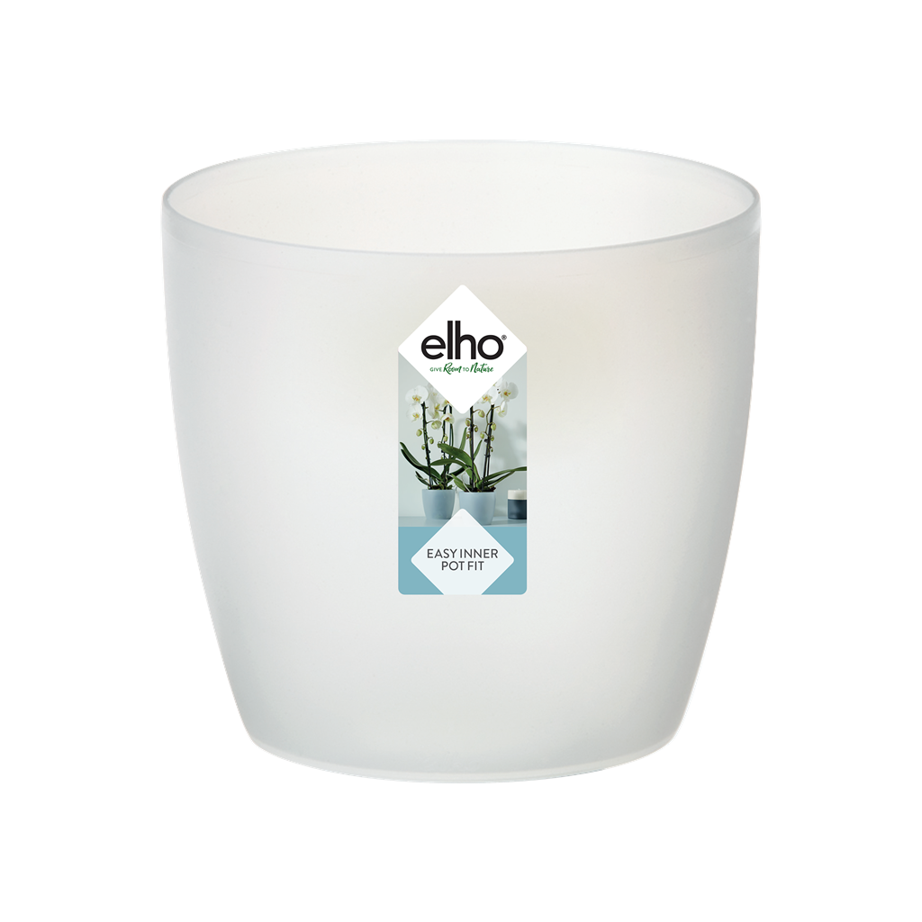 brussels orchid 12,5cm transparent elho