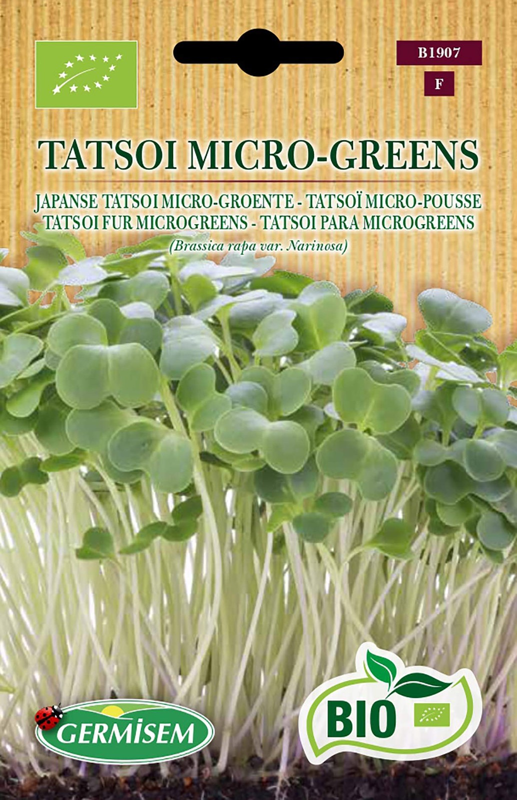 Germisem Biologico Tatsoi Micro-Greens Semi 10 g (E6Z)